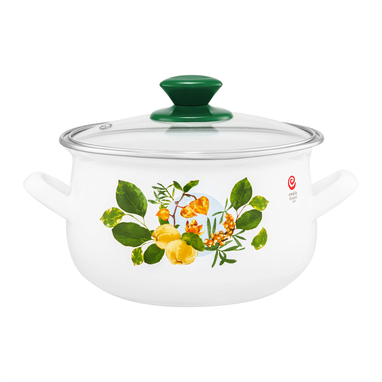 Oala emailata cu capac Pigwa, Emalia Olkusz, 2 L, 16 cm, multicolor - imagine 3